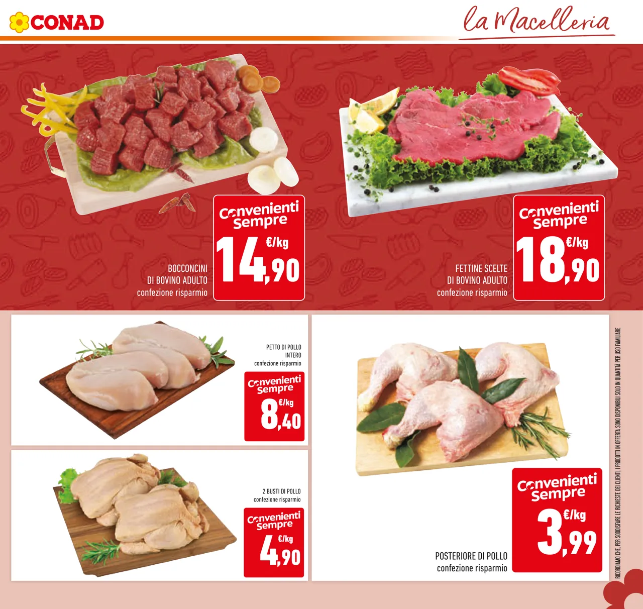 Pagina 13