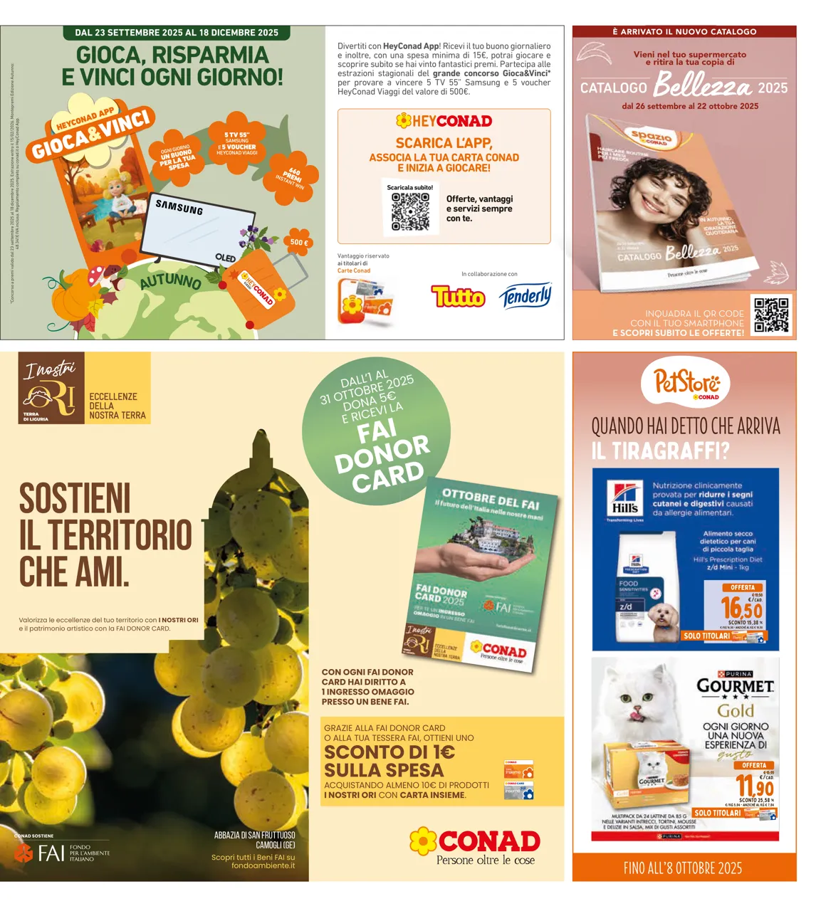 Pagina 33