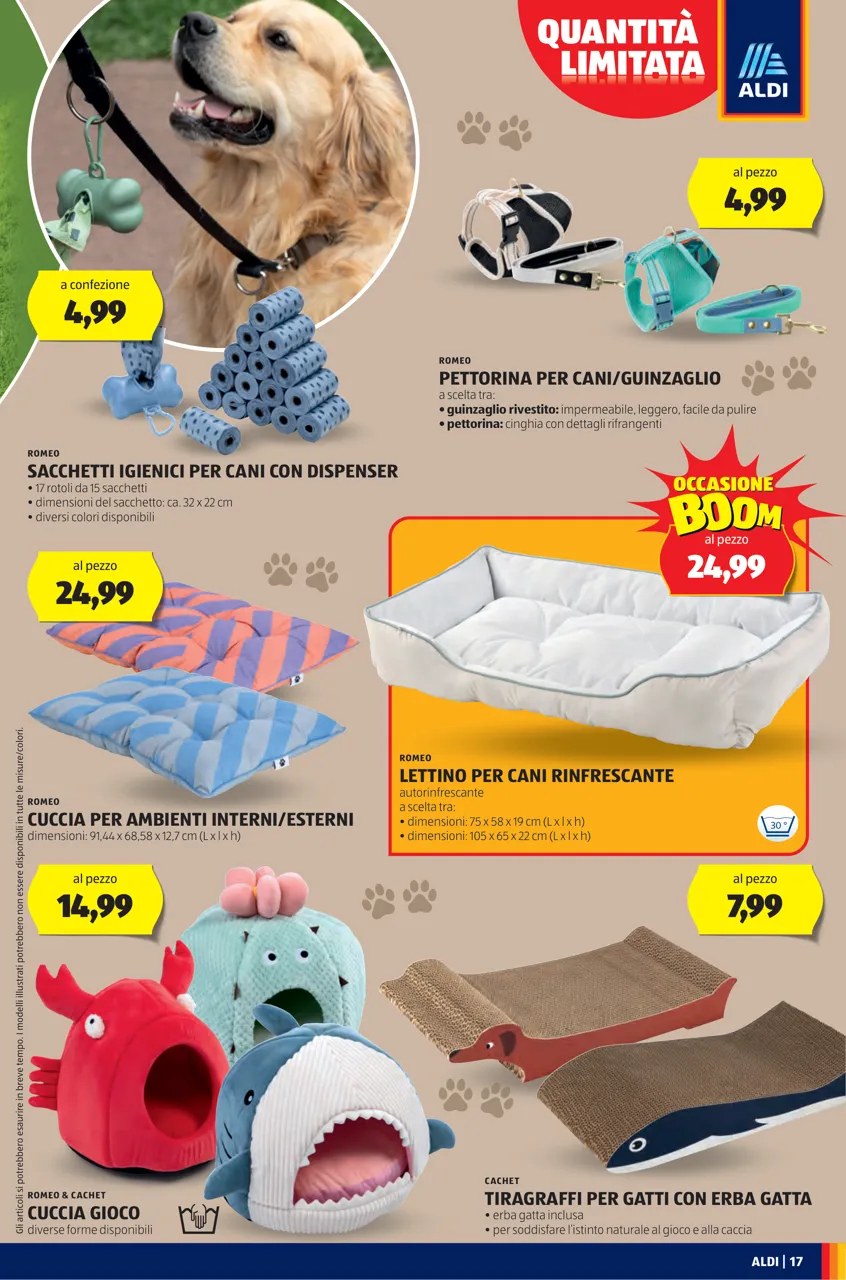 Pagina 17