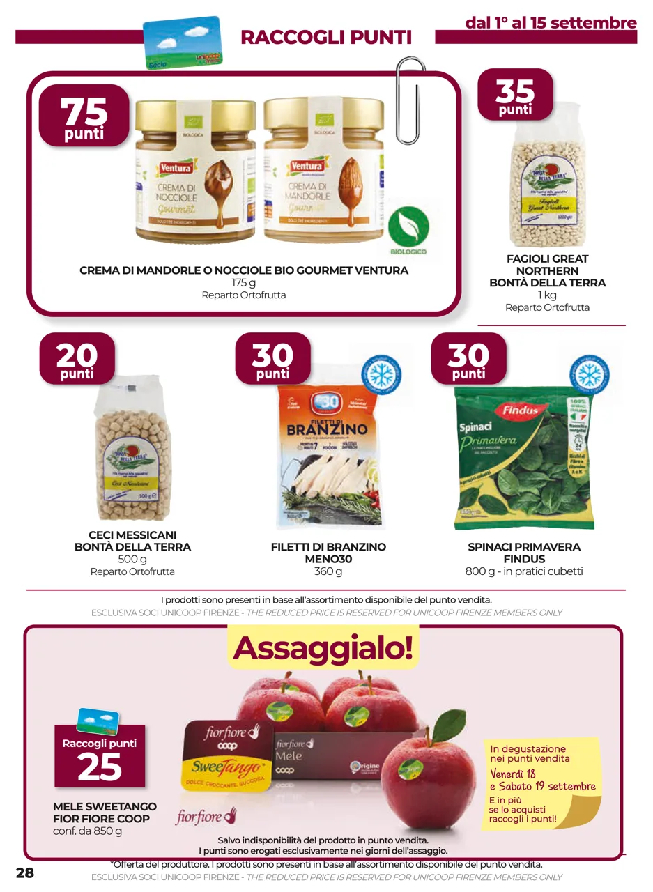 Pagina 28