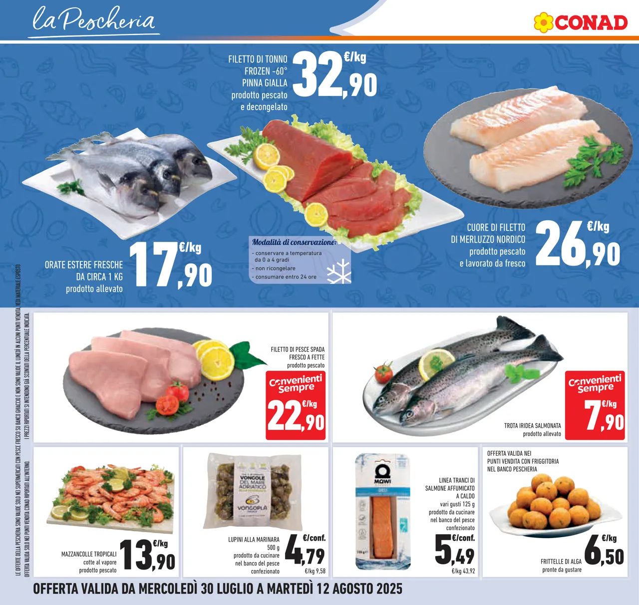 Pagina 26