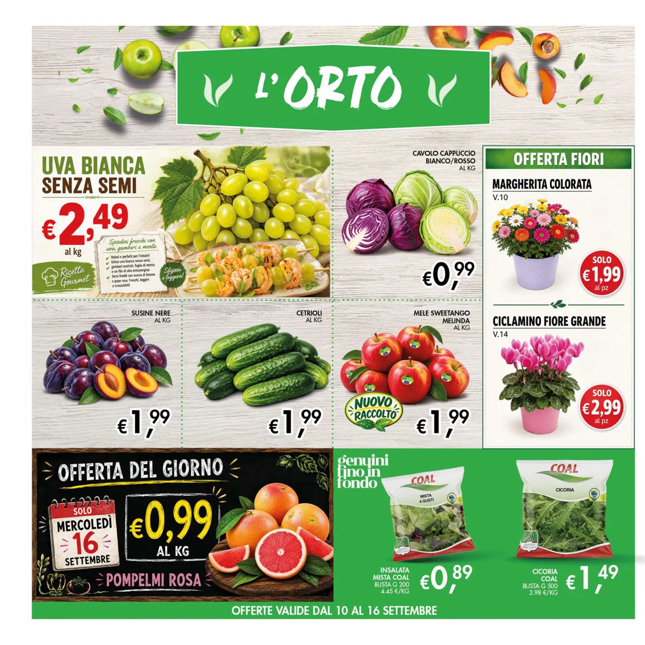 Pagina 6