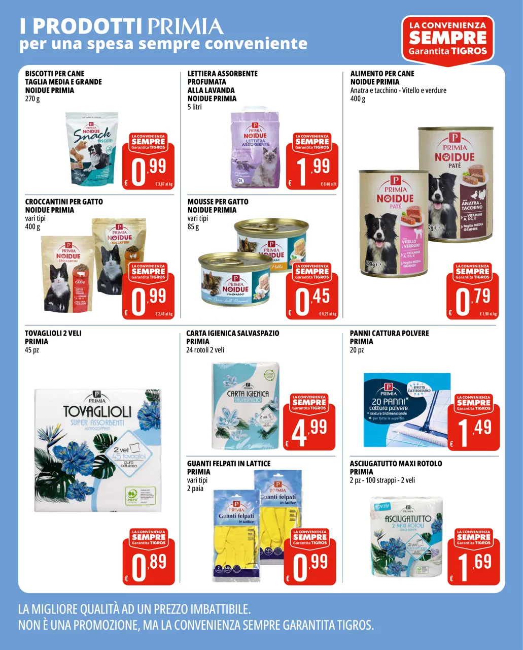 Pagina 8