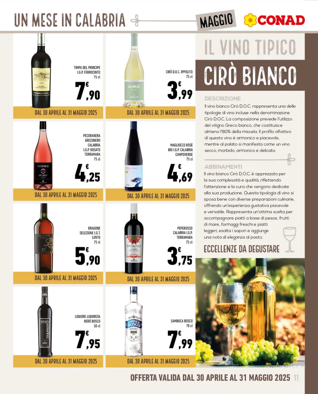 Pagina 11