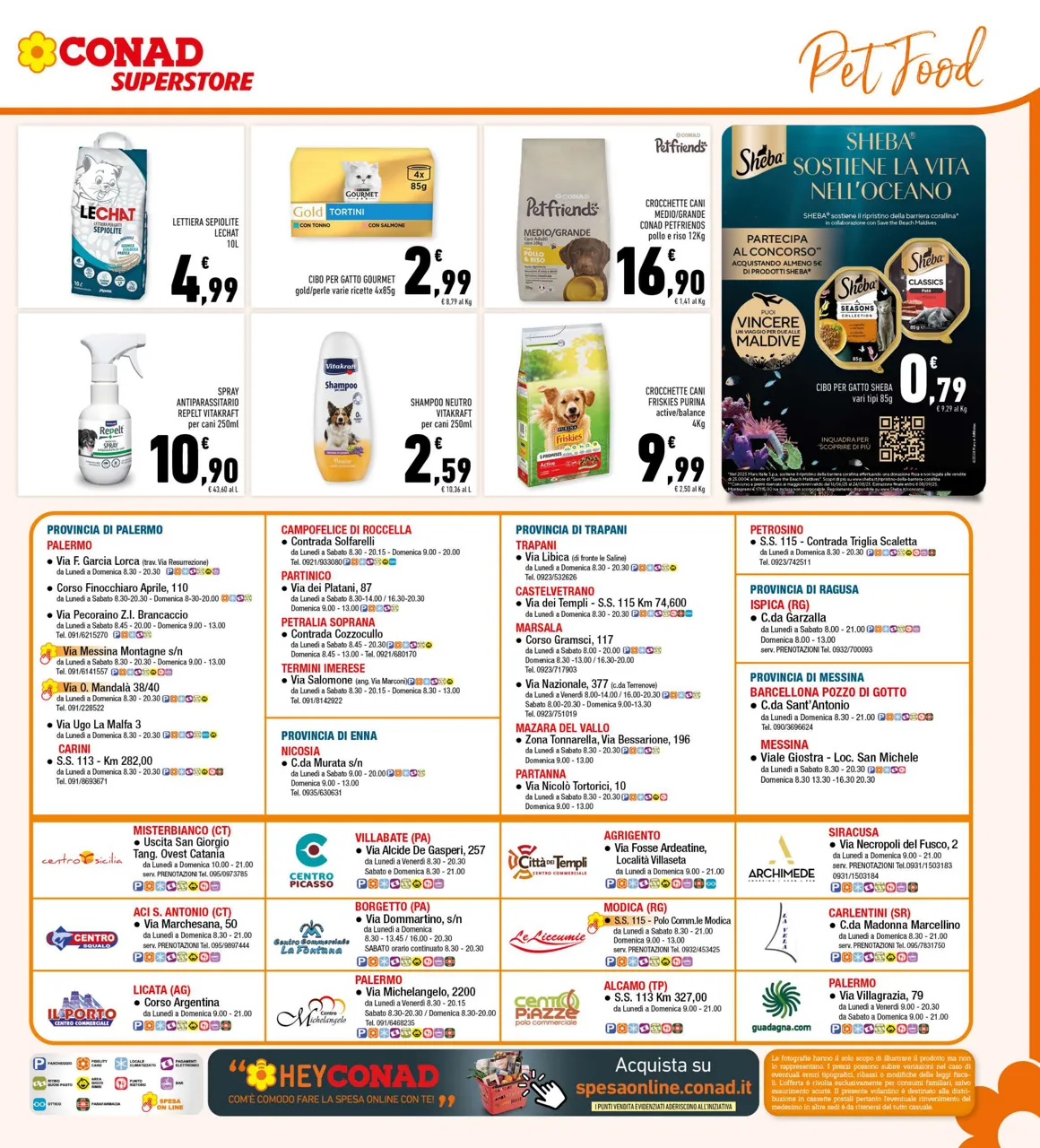 Pagina 31