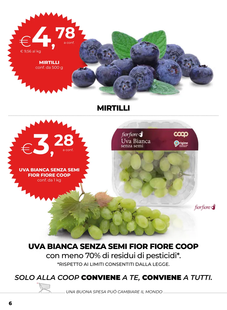 Pagina 6