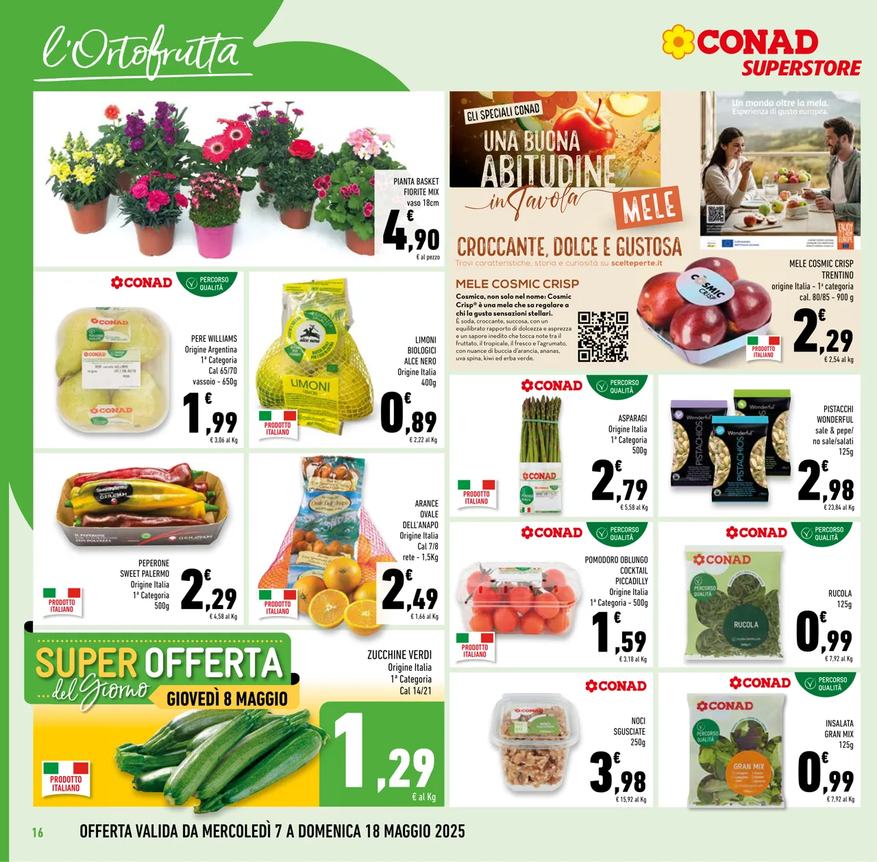 Pagina 16
