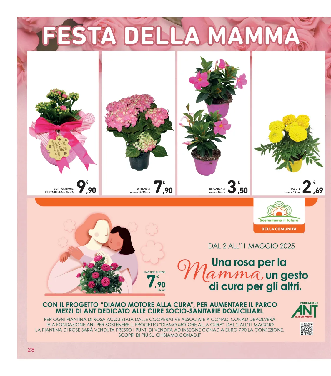 Pagina 28