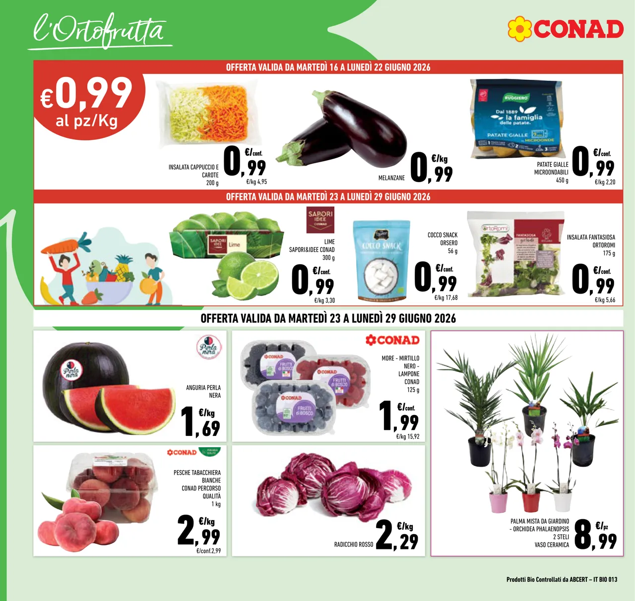 Pagina 4