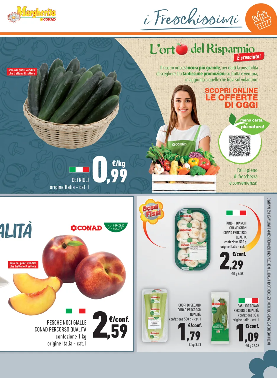 Pagina 13