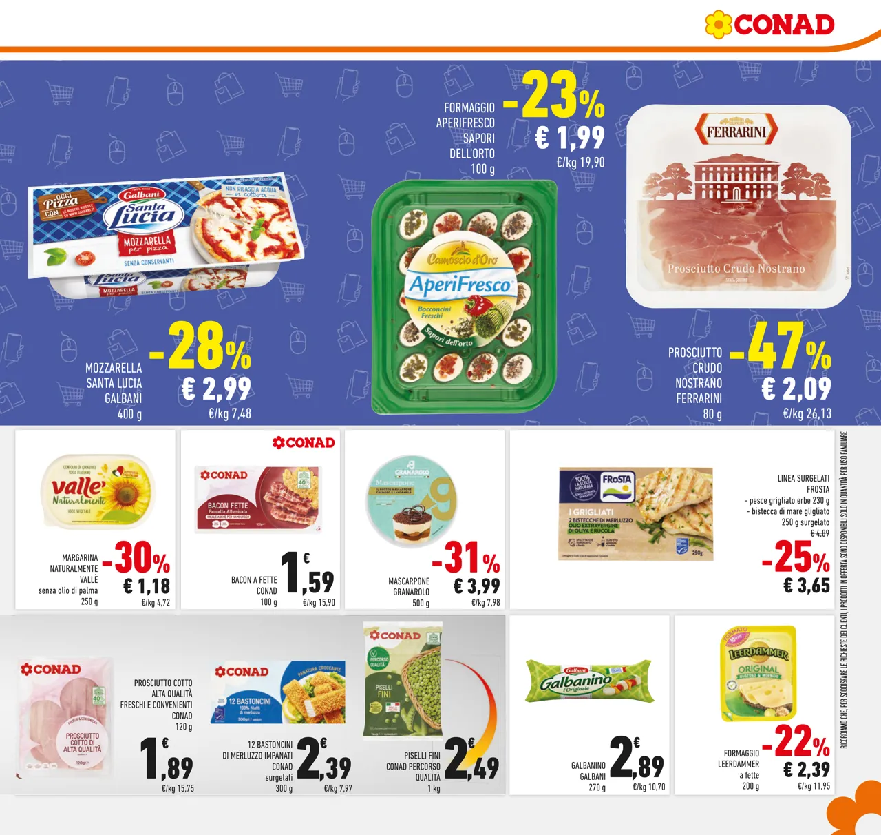 Pagina 13