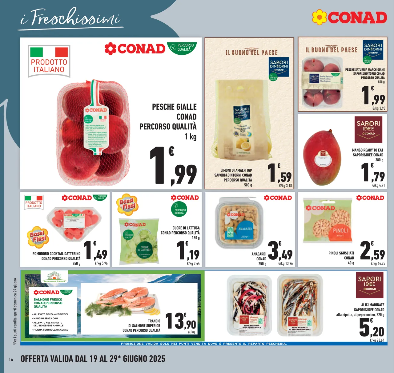 Pagina 14
