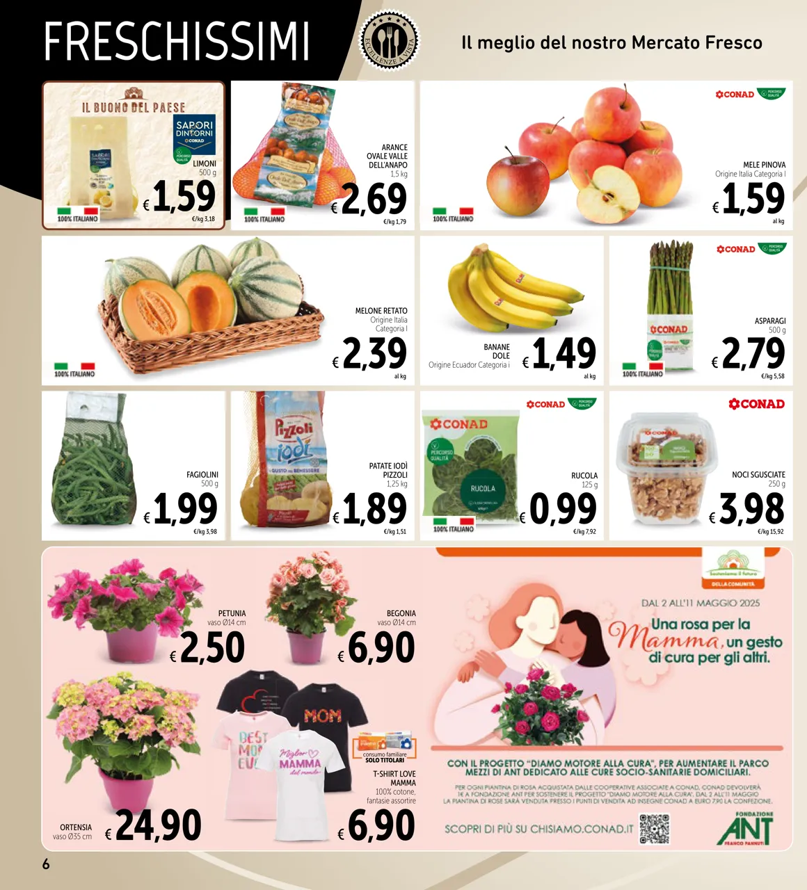 Pagina 6