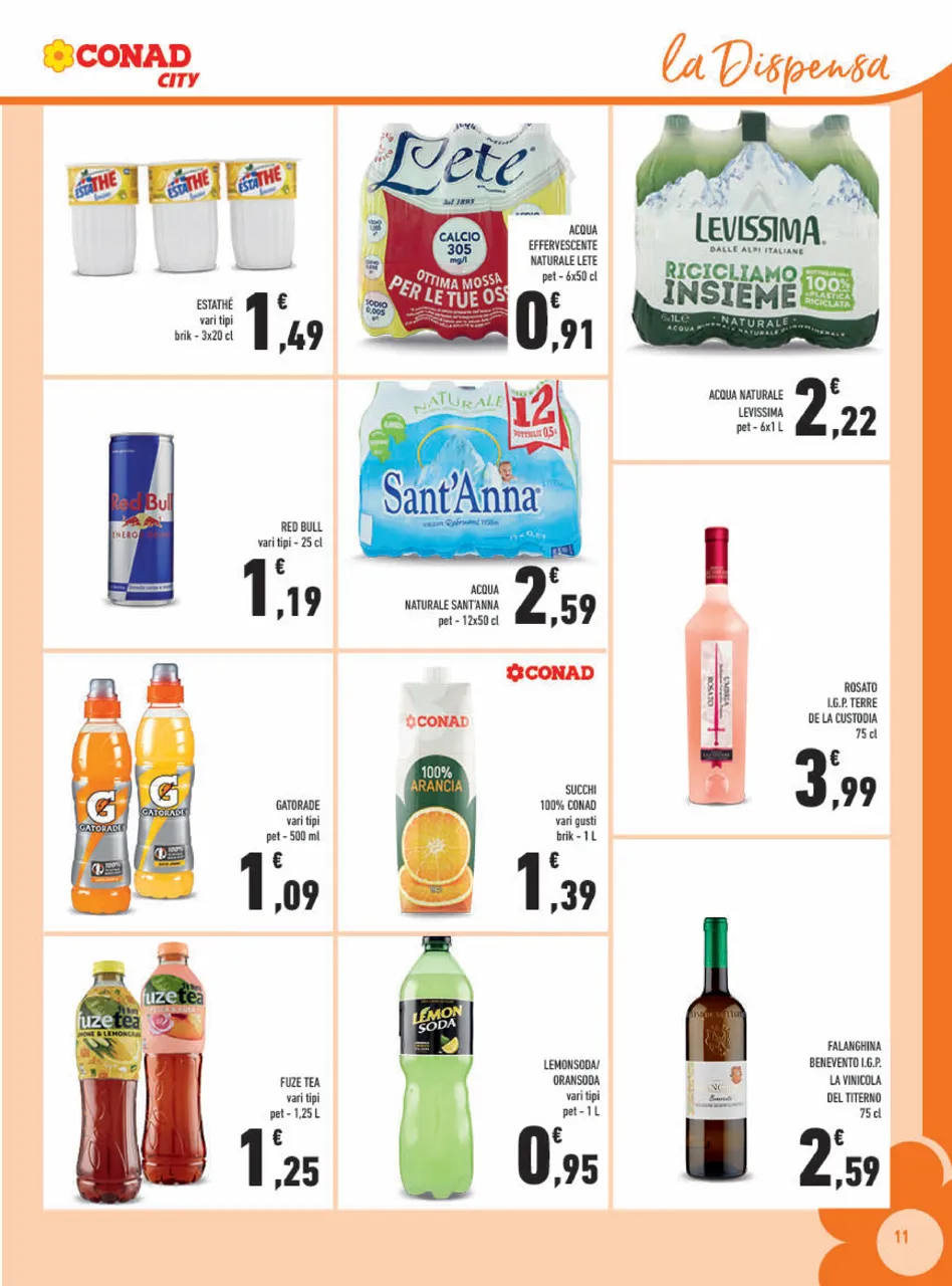 Pagina 11
