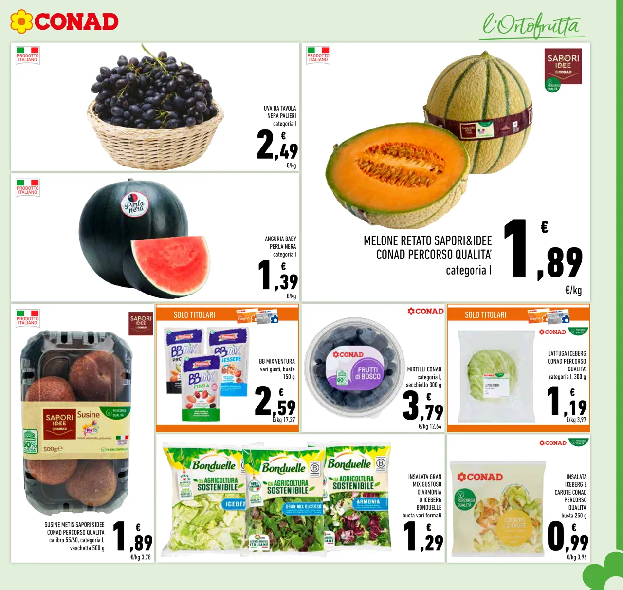 Pagina 5