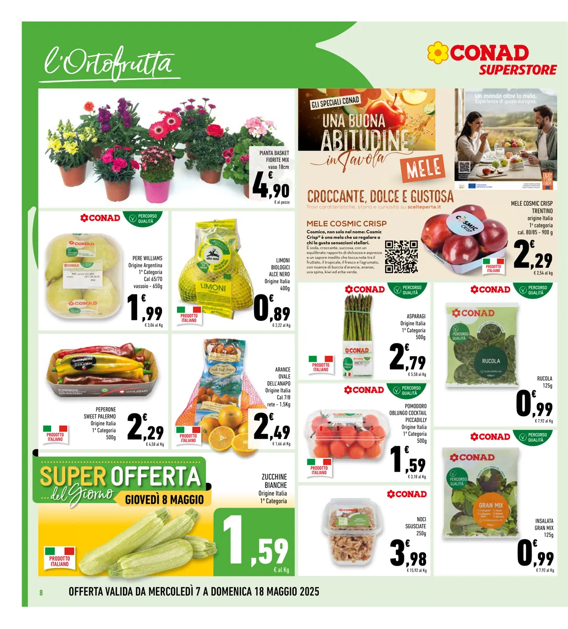 Pagina 8