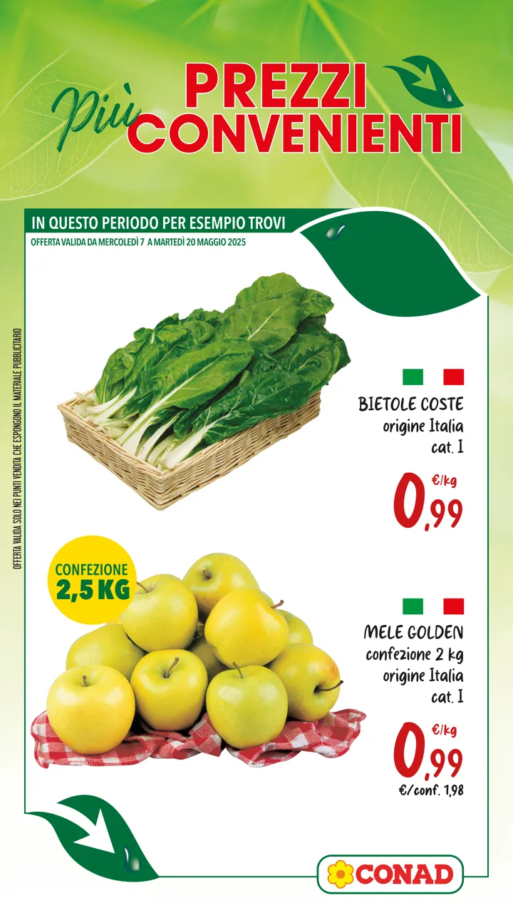 Pagina 2
