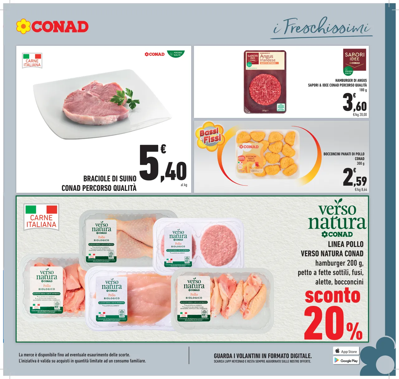 Pagina 5