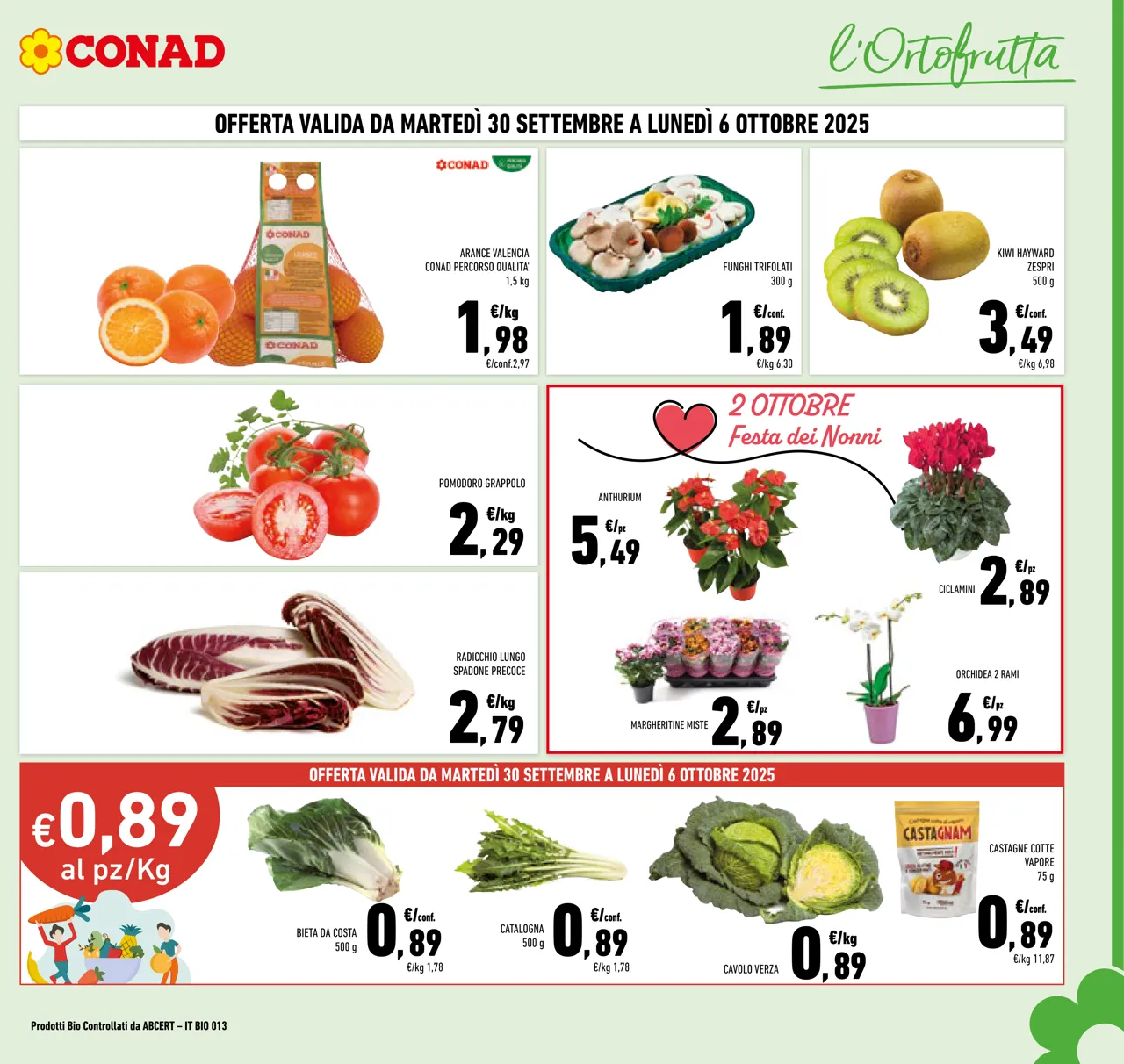 Pagina 3