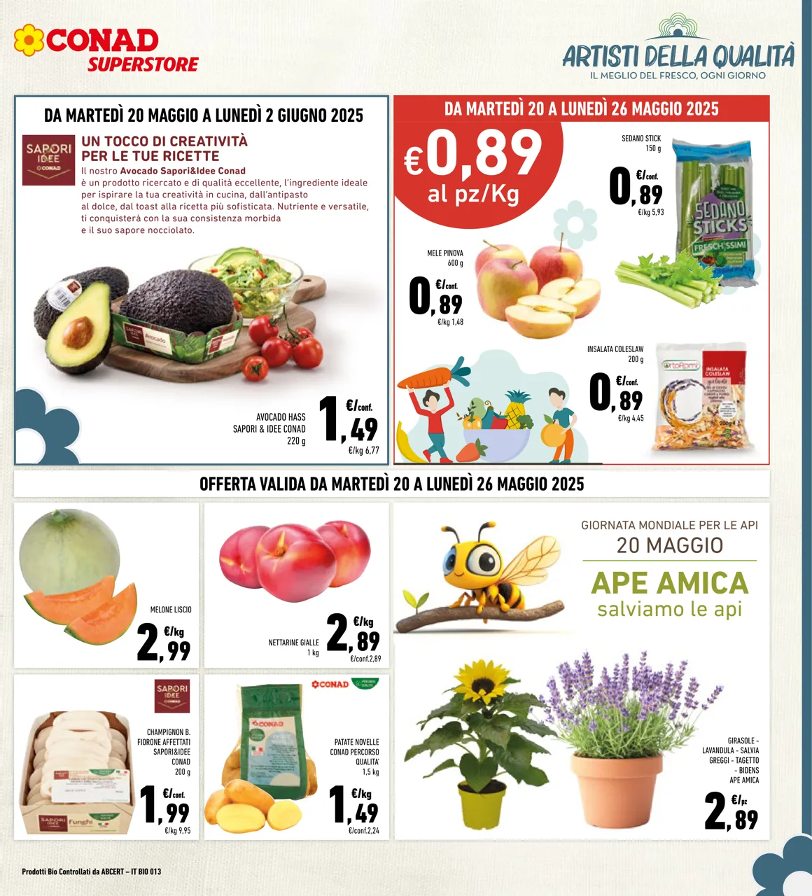 Pagina 5