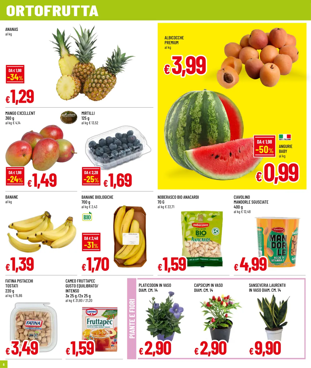 Pagina 6