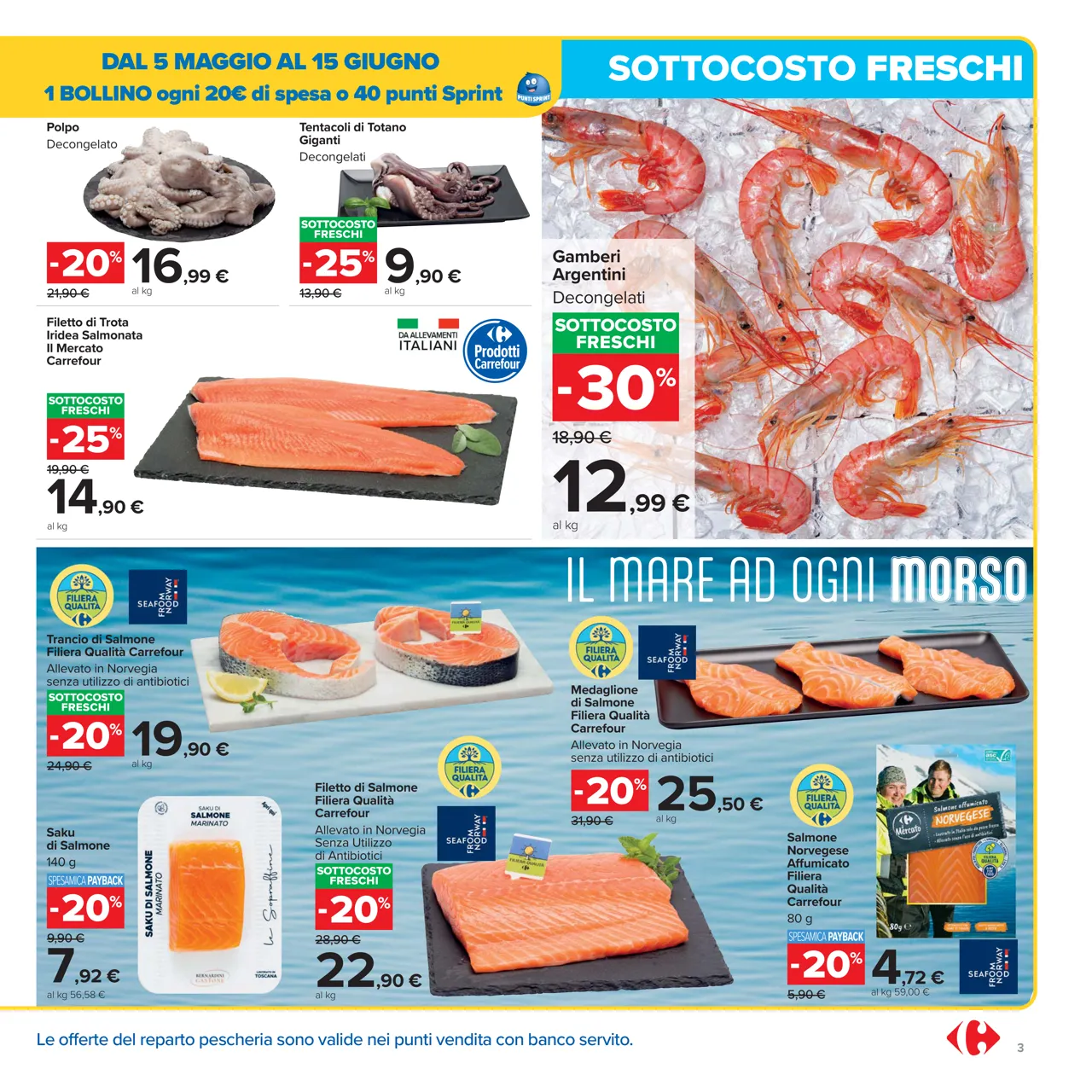 Pagina 3