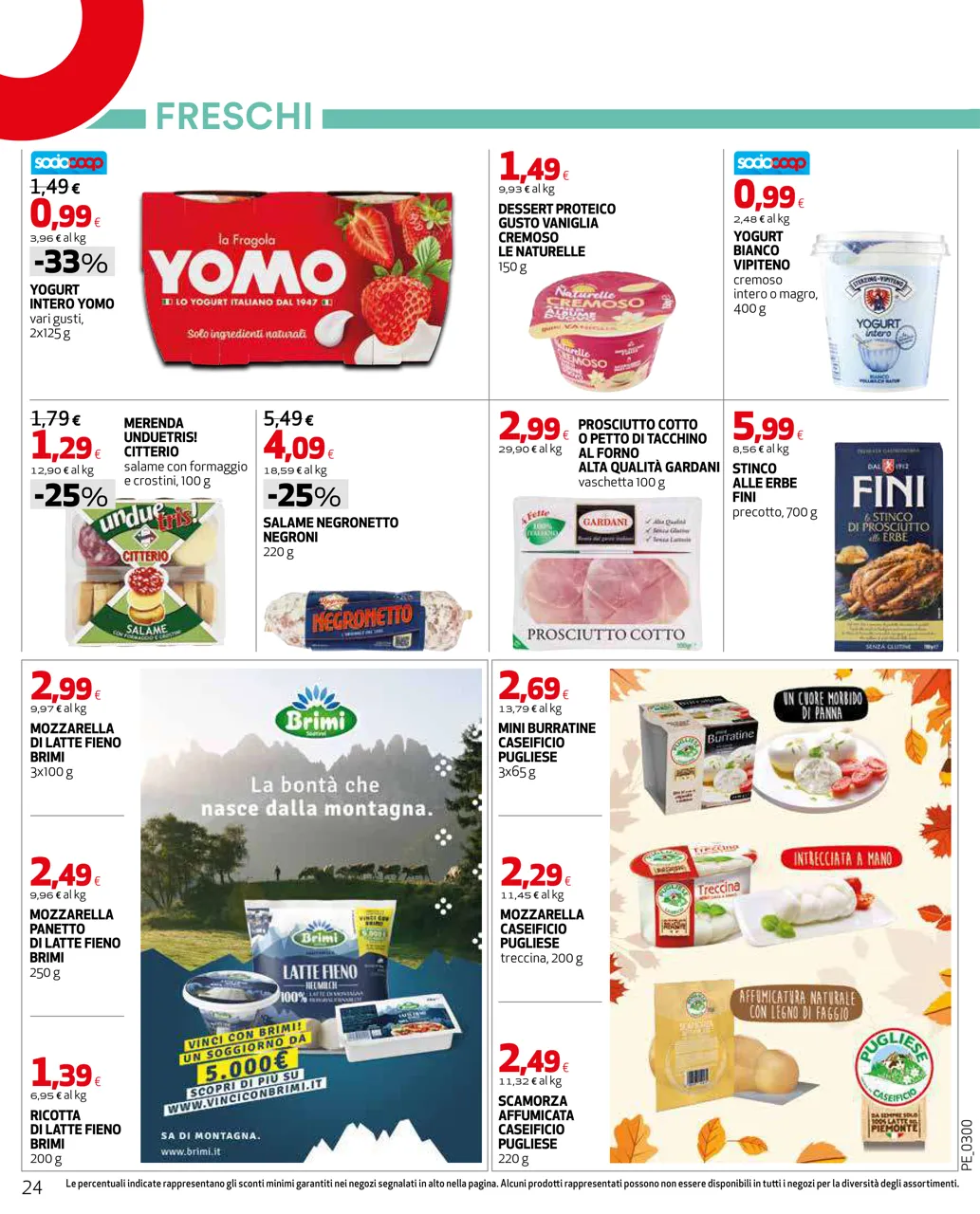 Pagina 24