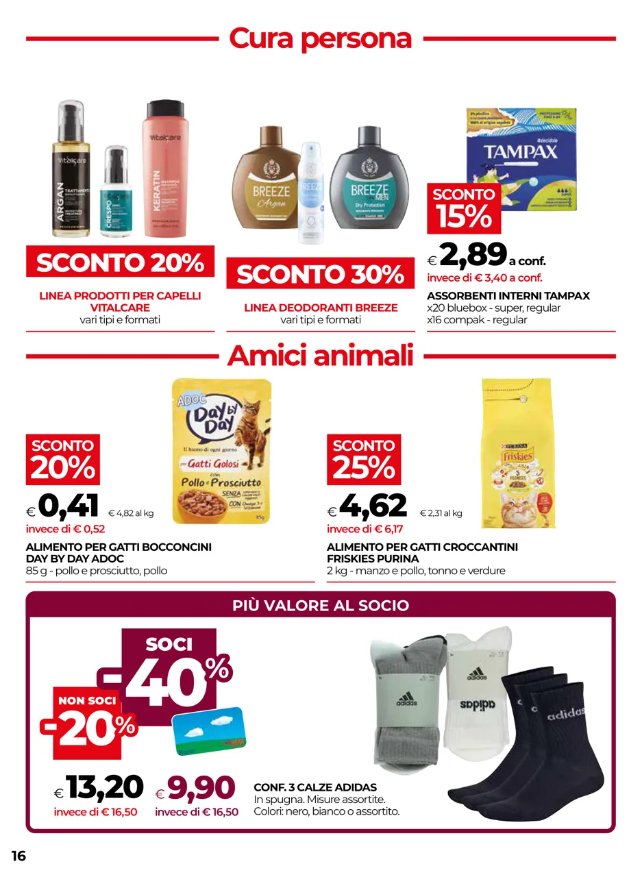 Pagina 16