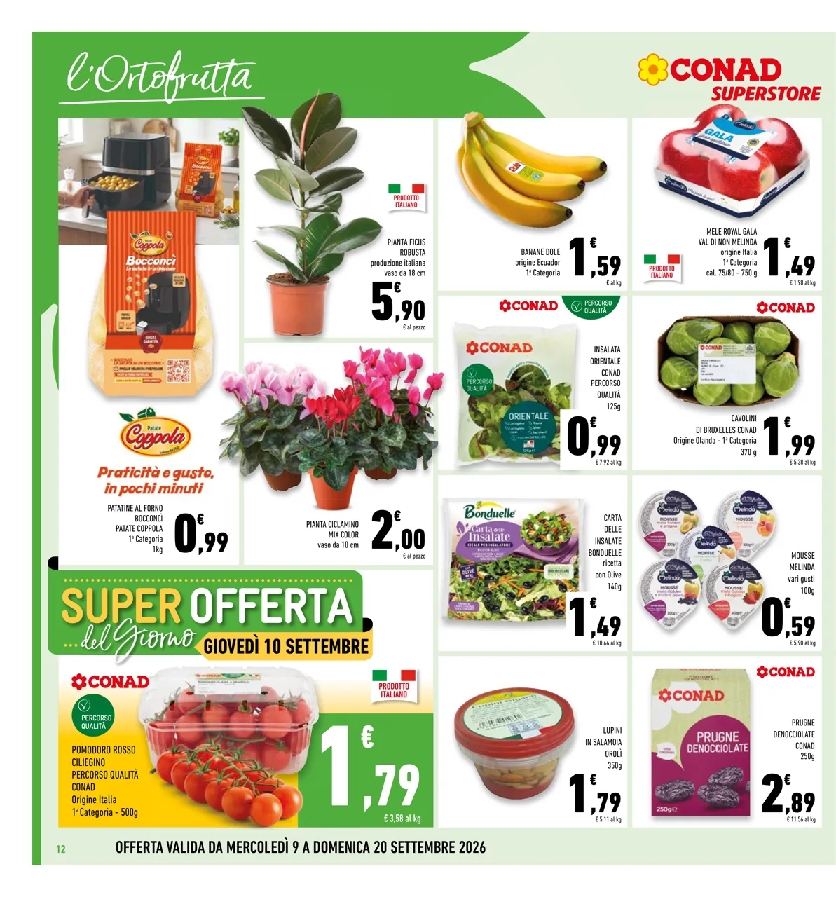 Pagina 12