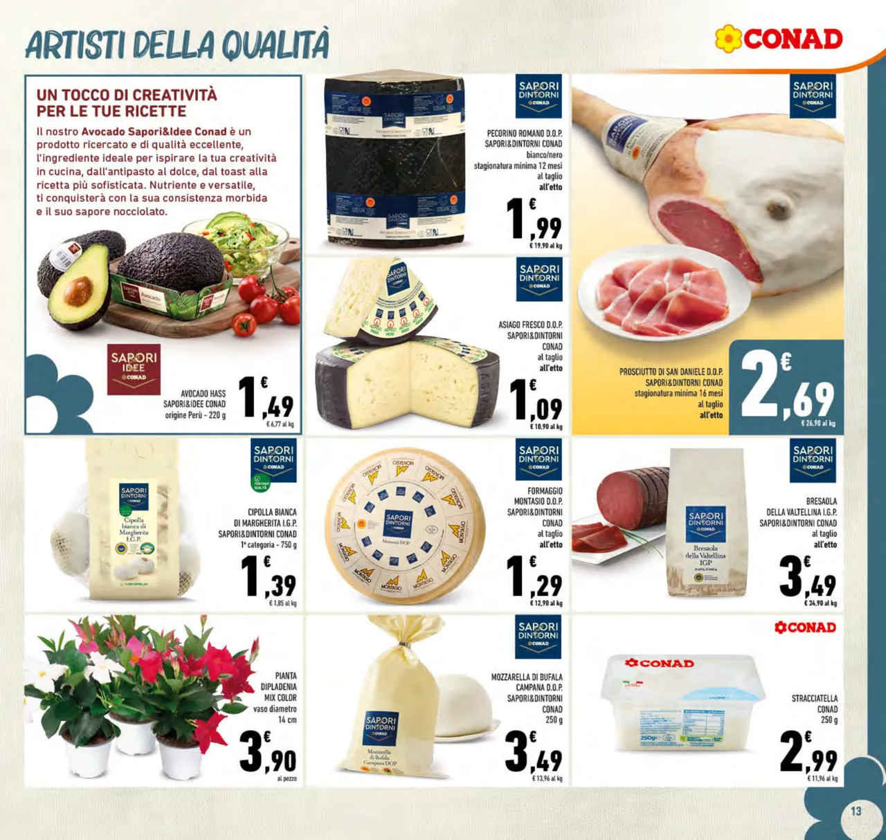 Pagina 13