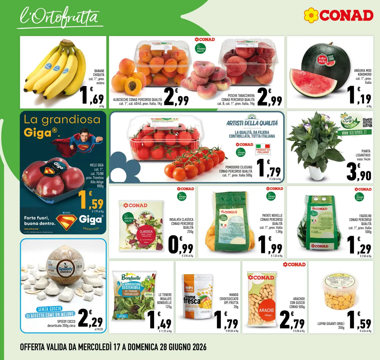 Pagina 2