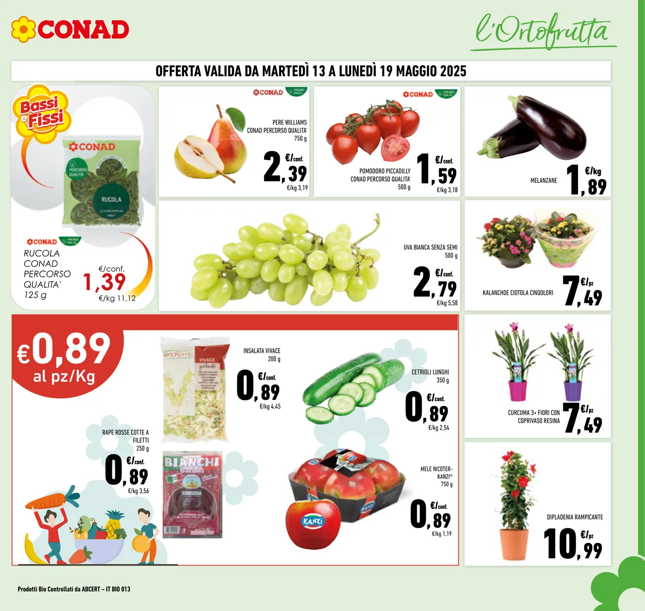 Pagina 7
