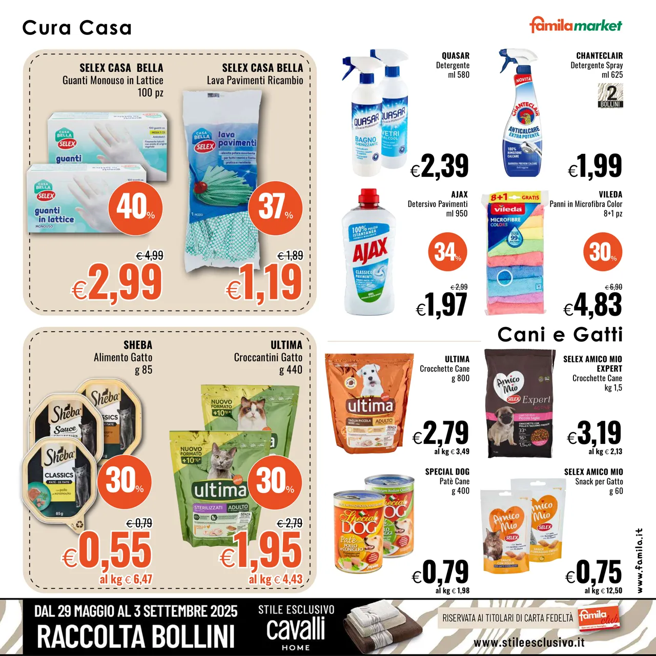 Pagina 19
