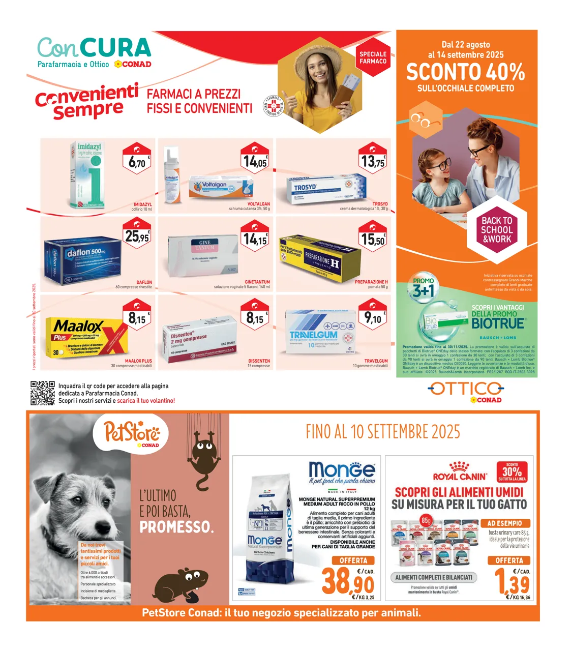 Pagina 31