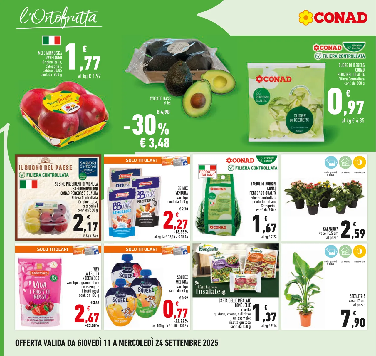 Pagina 6