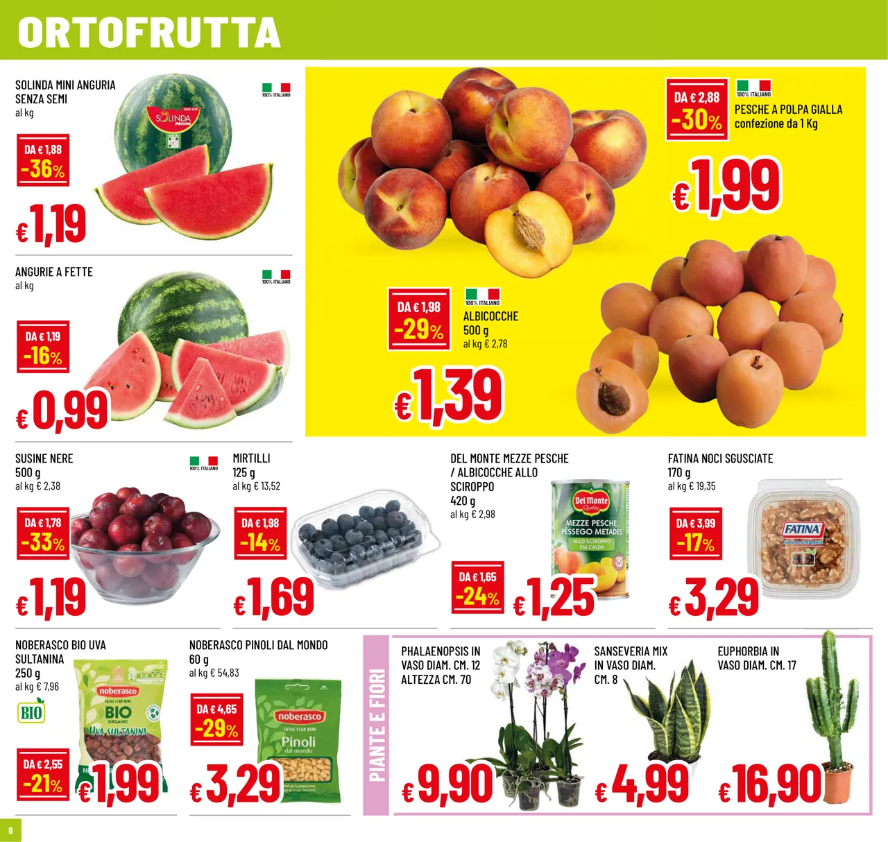 Pagina 6