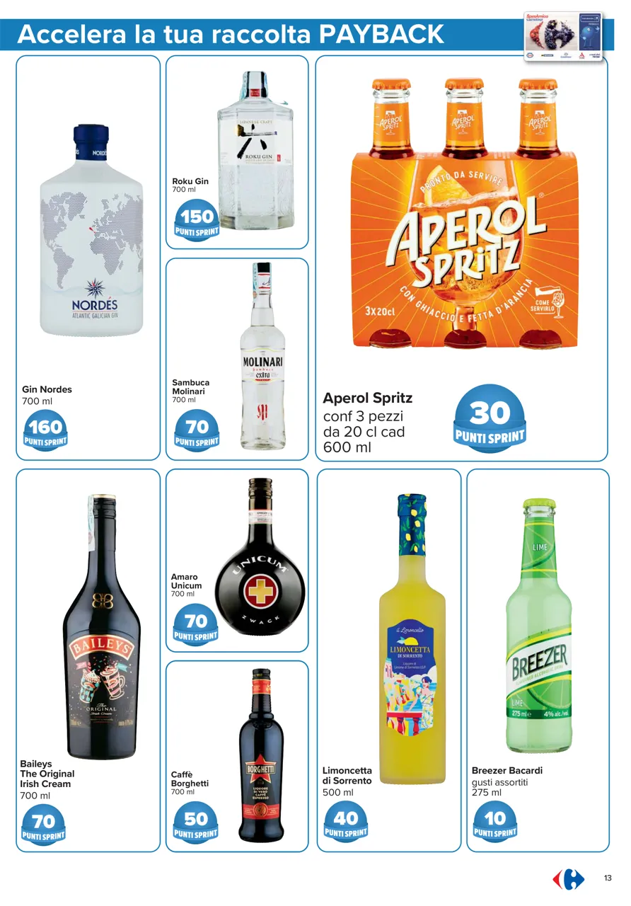 Pagina 13