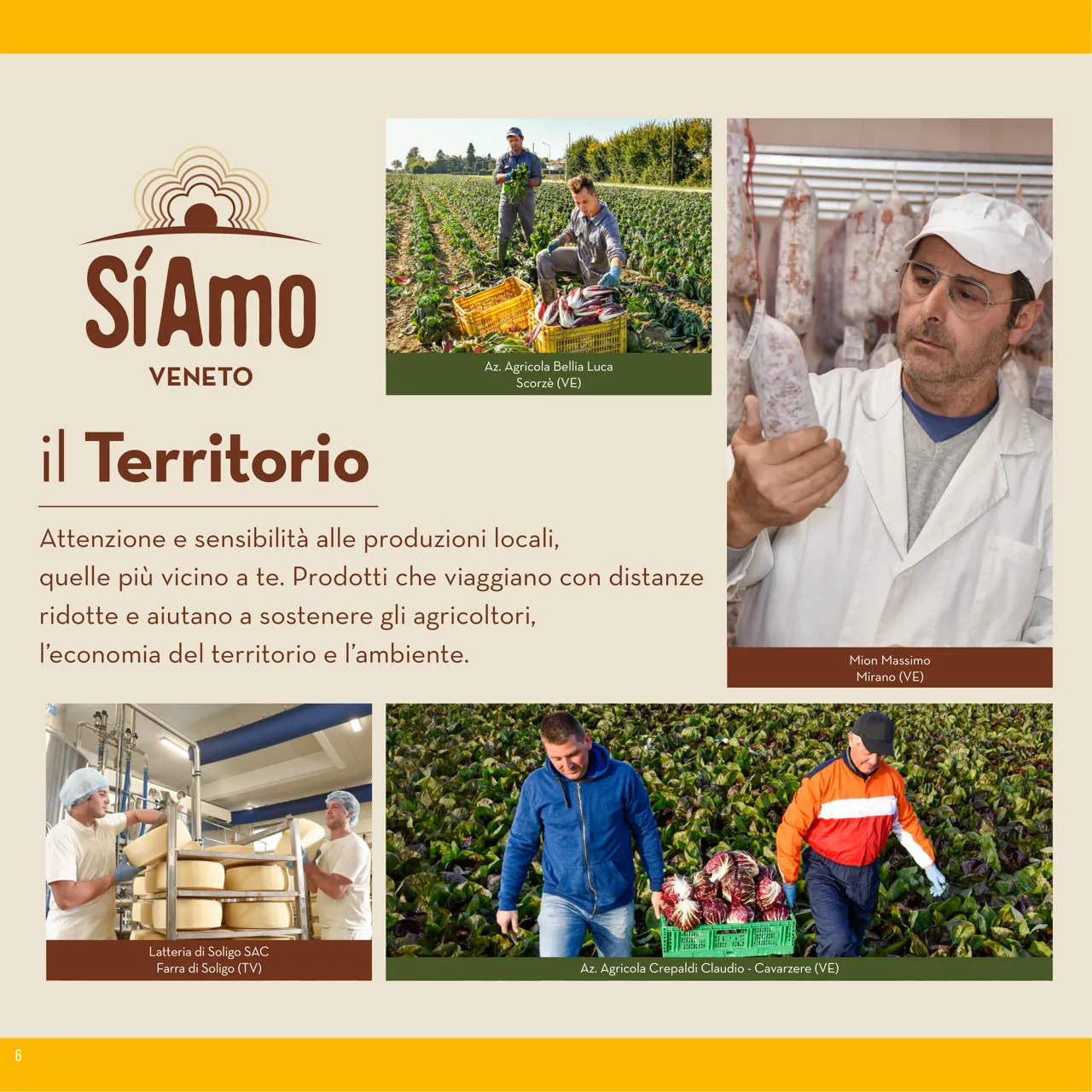 Pagina 6