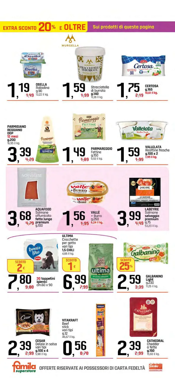 Pagina 11
