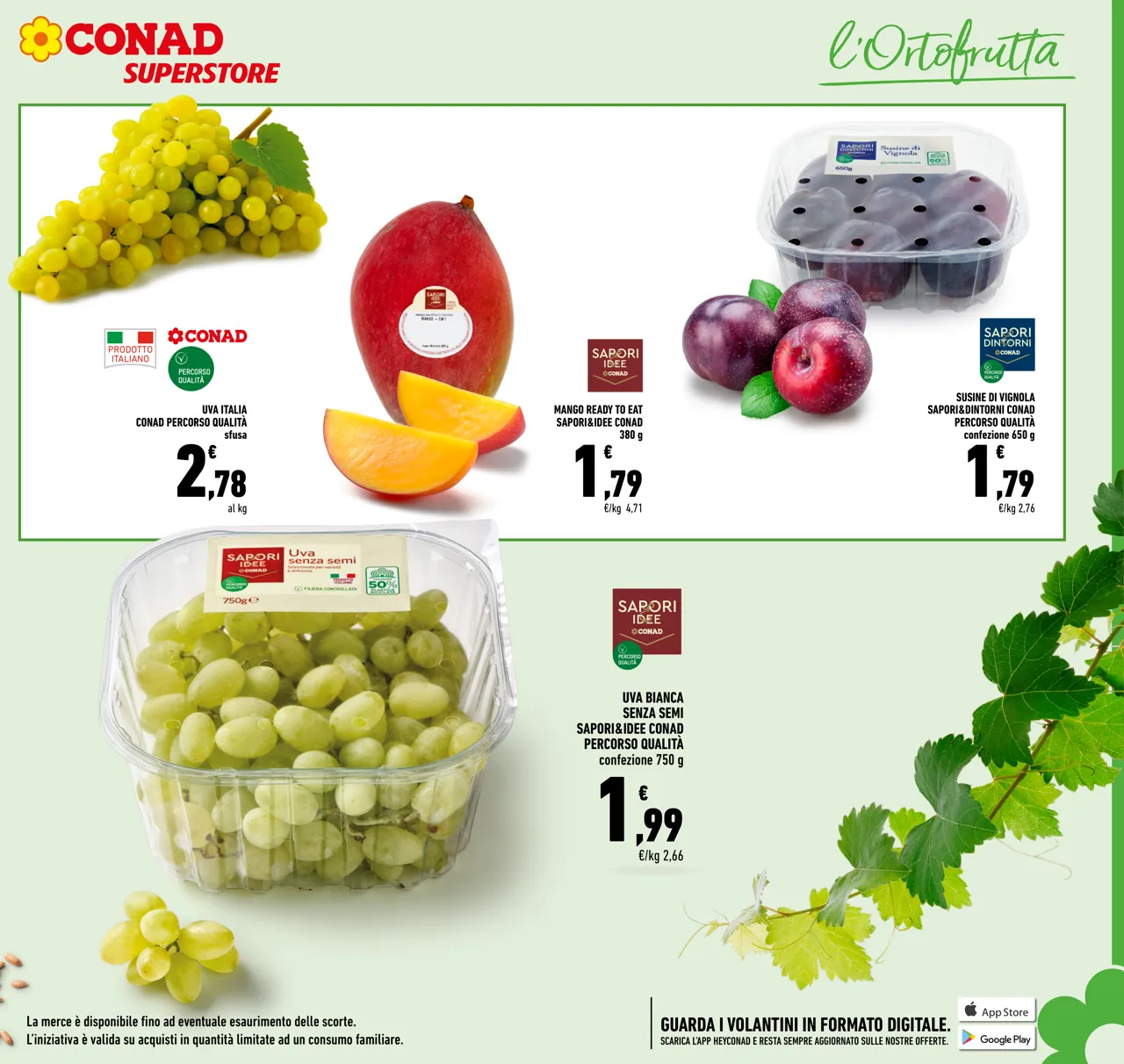 Pagina 7