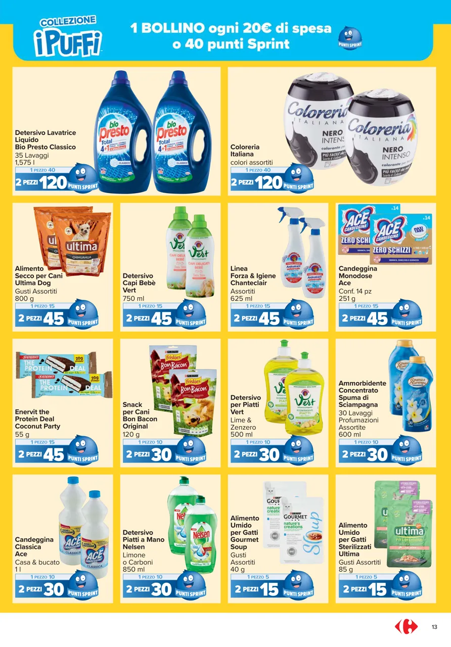 Pagina 13