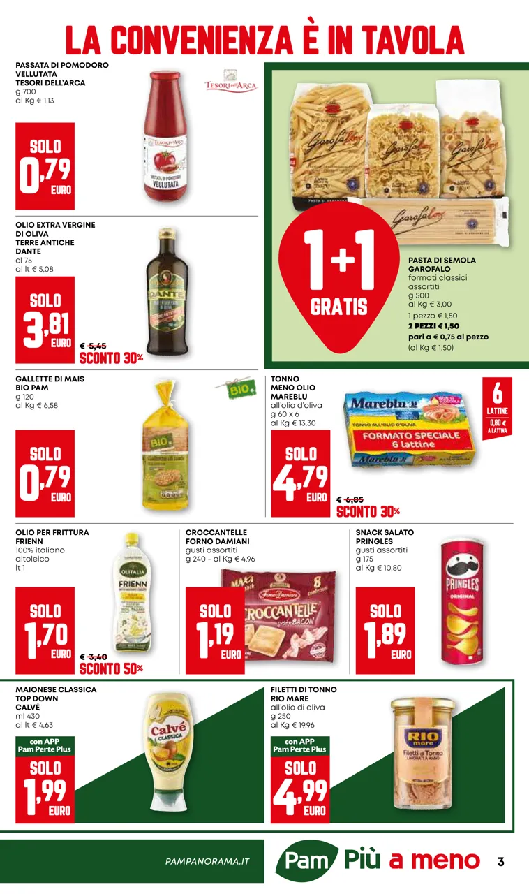 Pagina 3