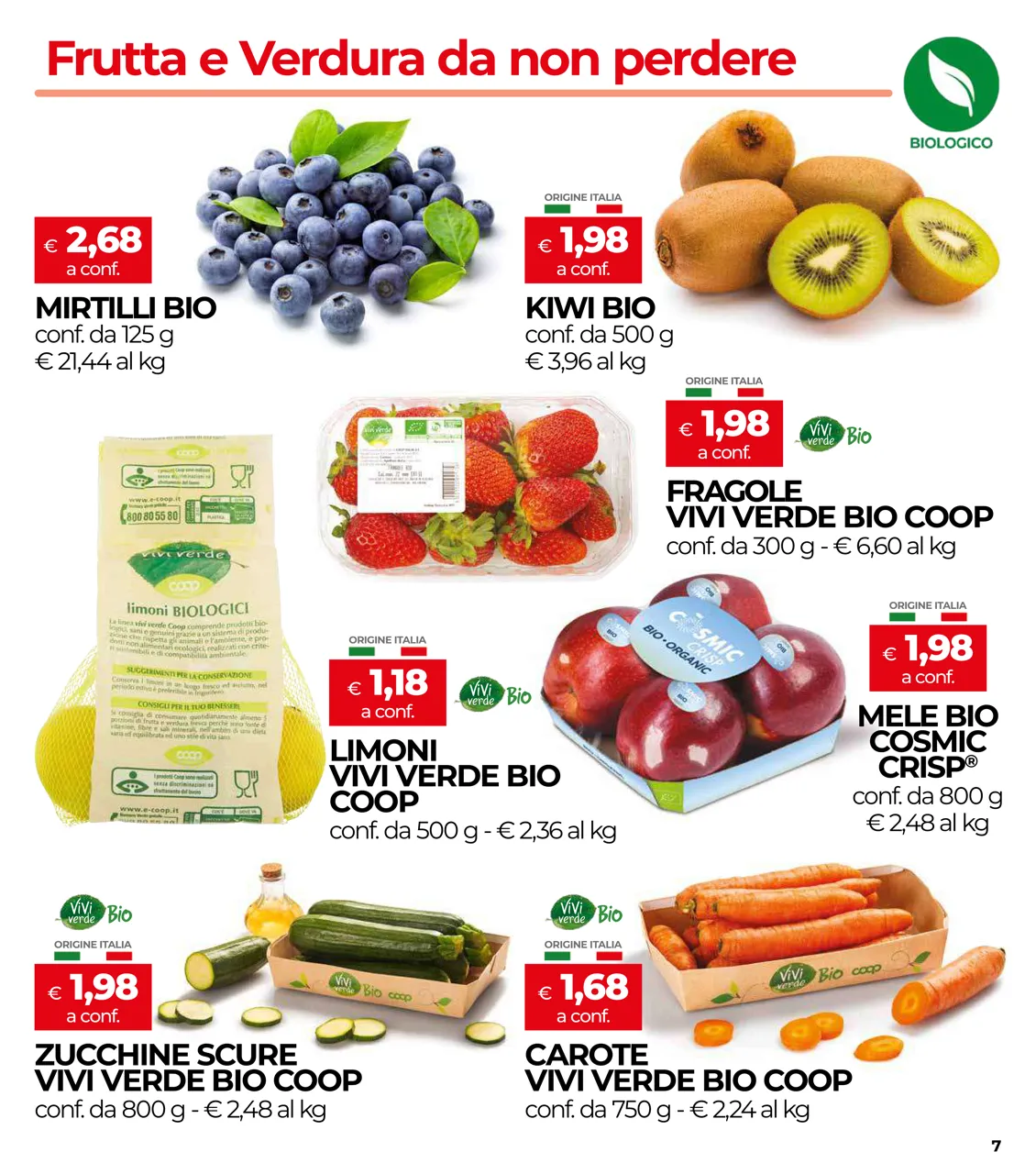 Pagina 7