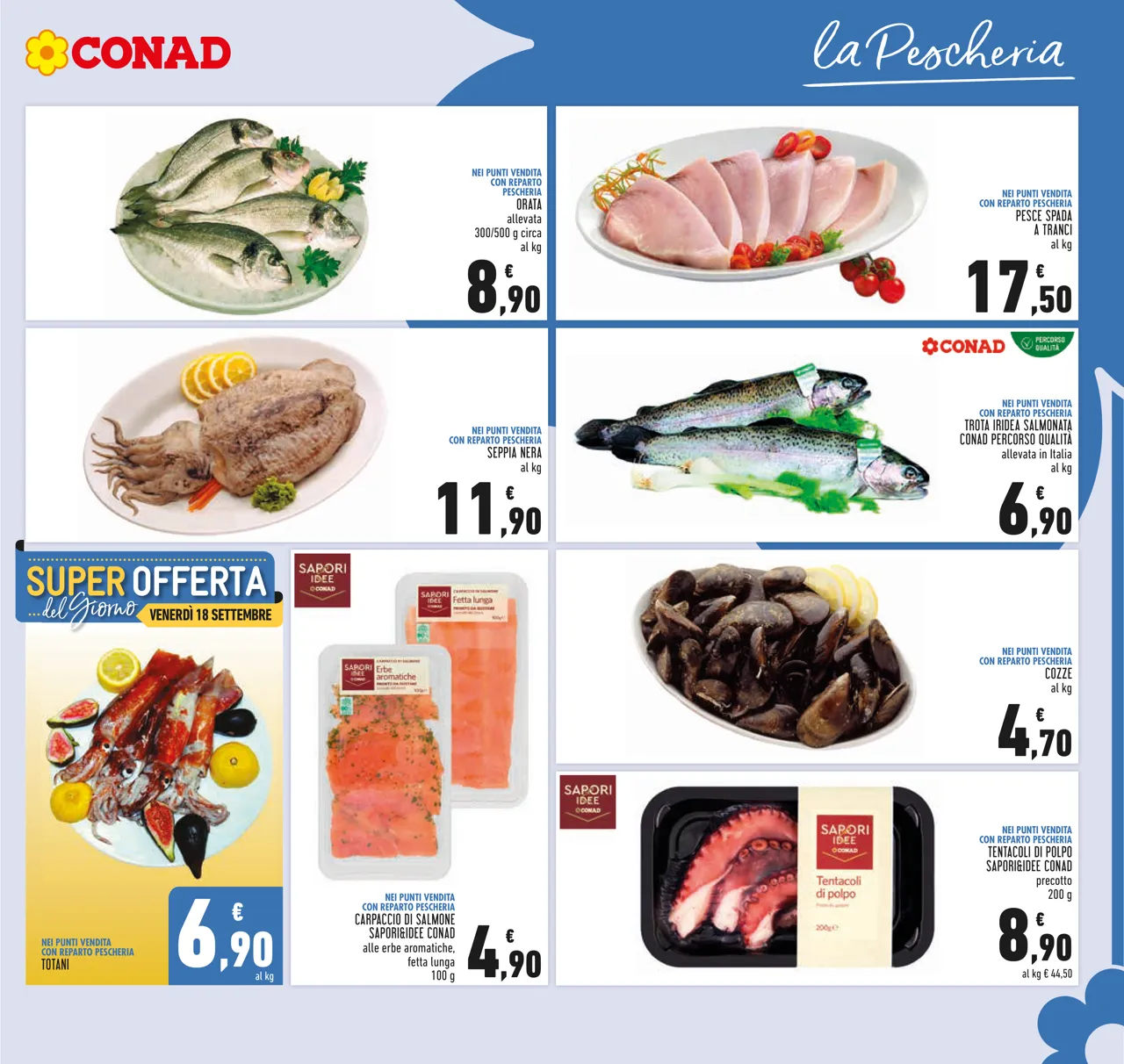 Pagina 7