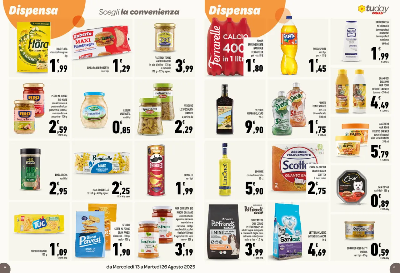 Pagina 8