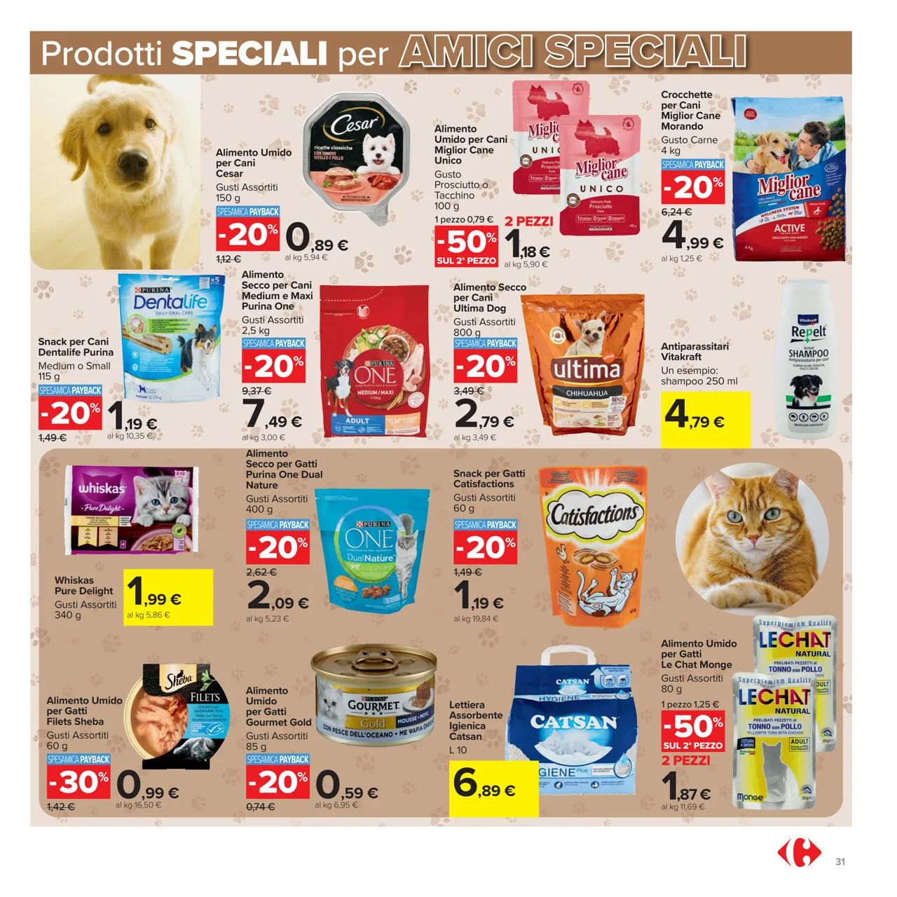 Pagina 31