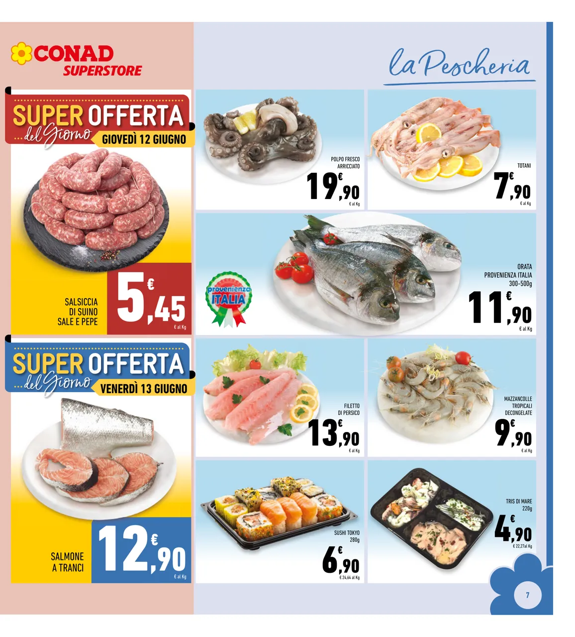 Pagina 7