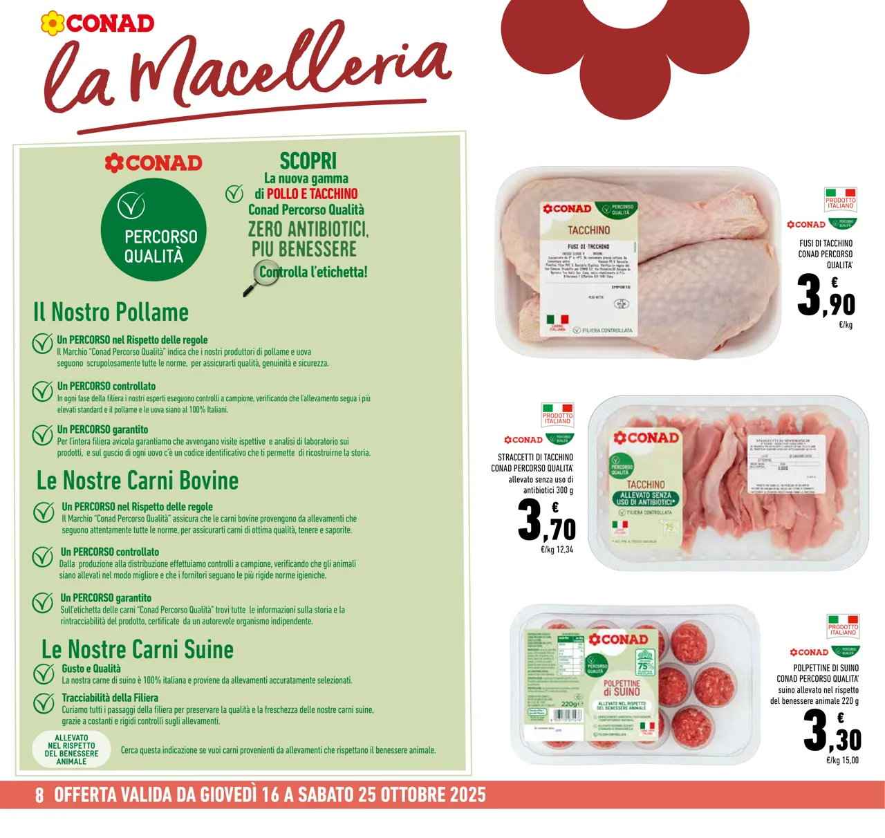 Pagina 8