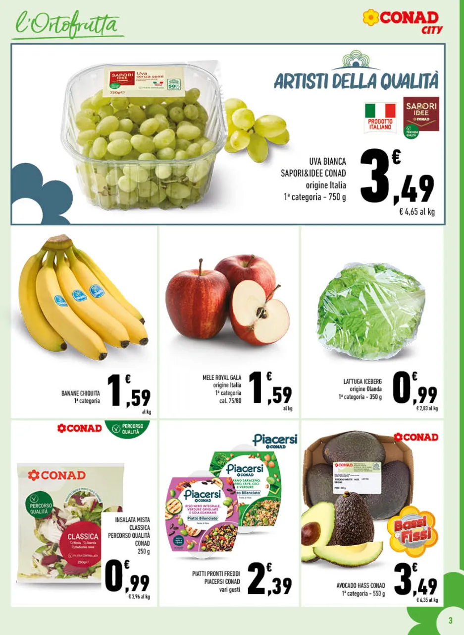 Pagina 3