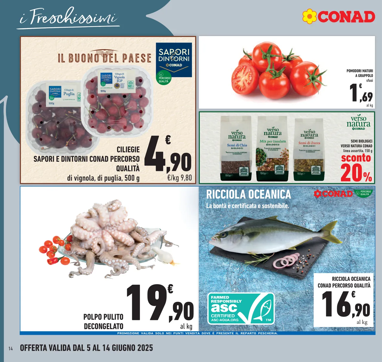 Pagina 14